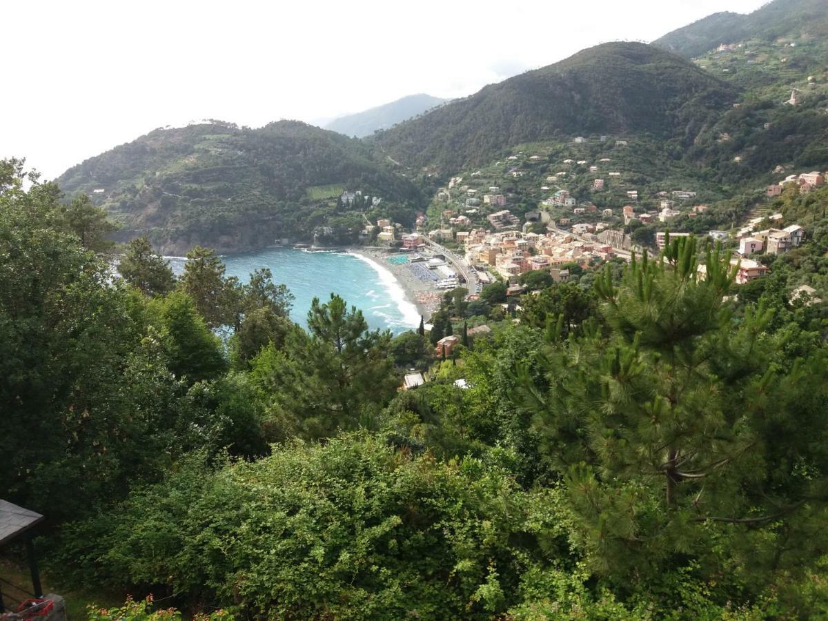 Casa Cinzia Bonassola Cinque Terre Apartment Bagian luar foto
