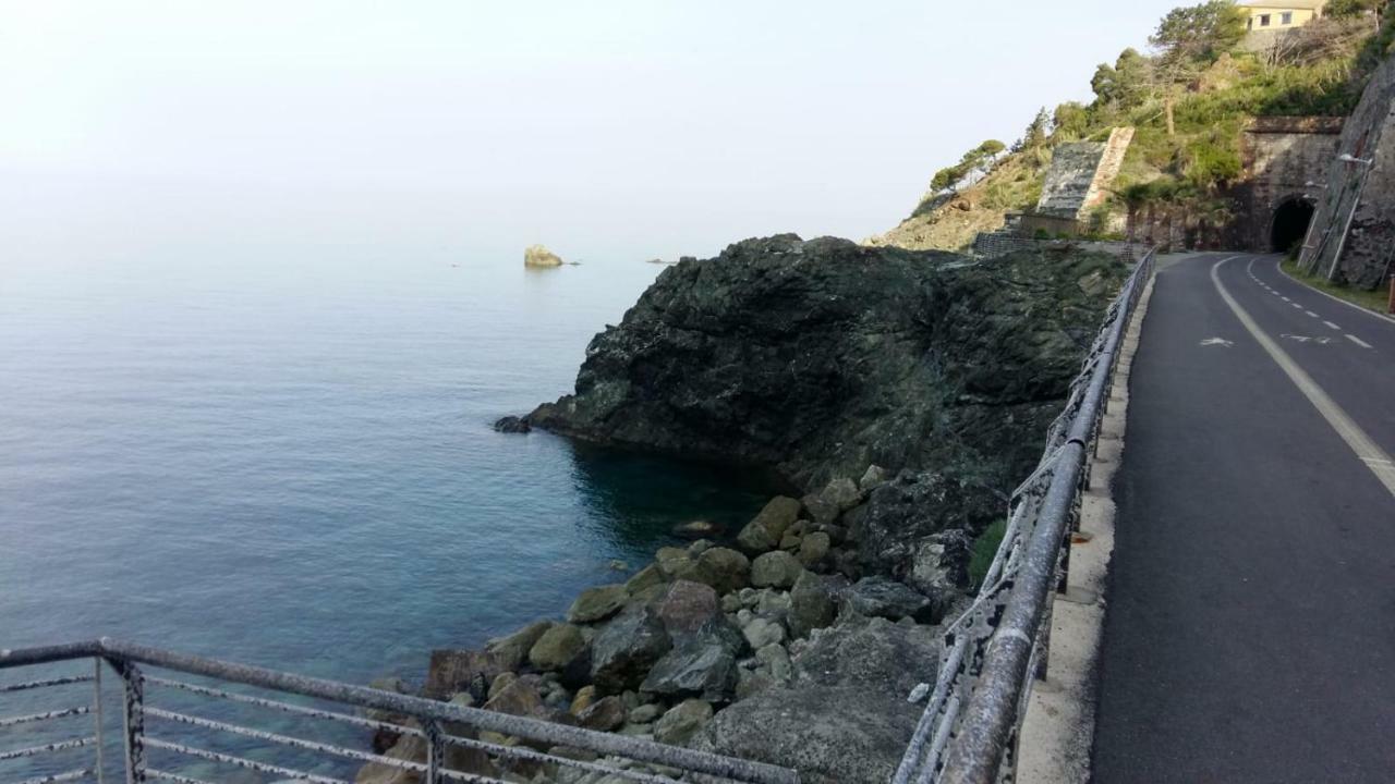 Casa Cinzia Bonassola Cinque Terre Apartment Bagian luar foto