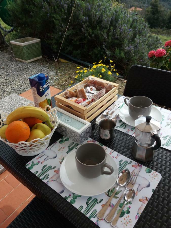 Casa Cinzia Bonassola Cinque Terre Apartment Bagian luar foto
